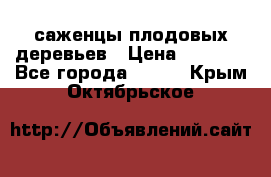 саженцы плодовых деревьев › Цена ­ 6 080 - Все города  »    . Крым,Октябрьское